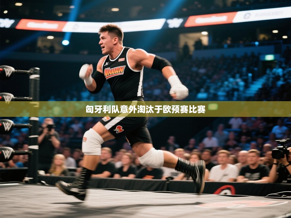 匈牙利队意外淘汰于欧预赛比赛  第1张