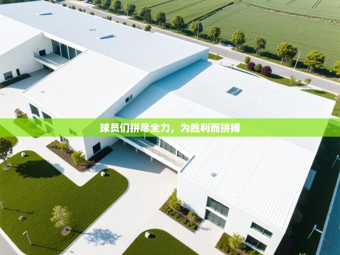 球员们拼尽全力，为胜利而拼搏  第1张