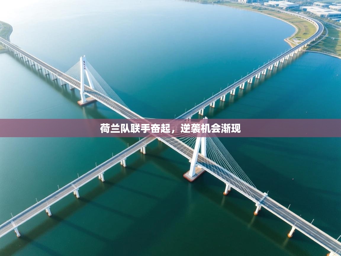 荷兰队联手奋起，逆袭机会渐现