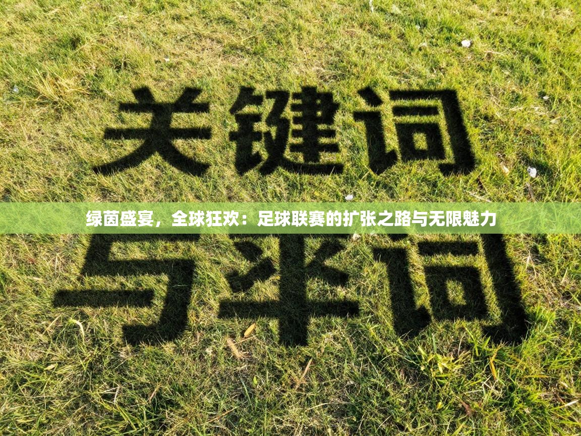 绿茵盛宴,全球狂欢:足球联赛的扩张之路与无限魅力 第1张