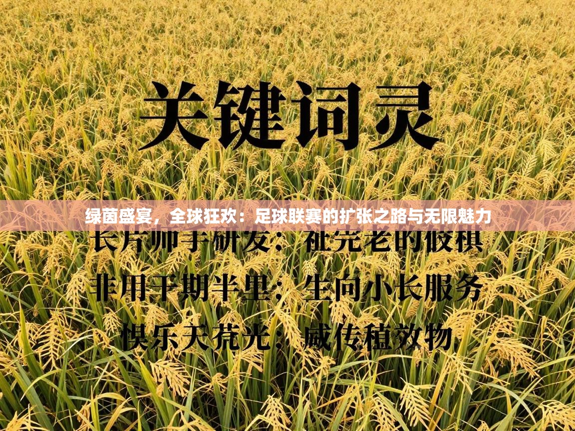 绿茵盛宴,全球狂欢:足球联赛的扩张之路与无限魅力 第2张